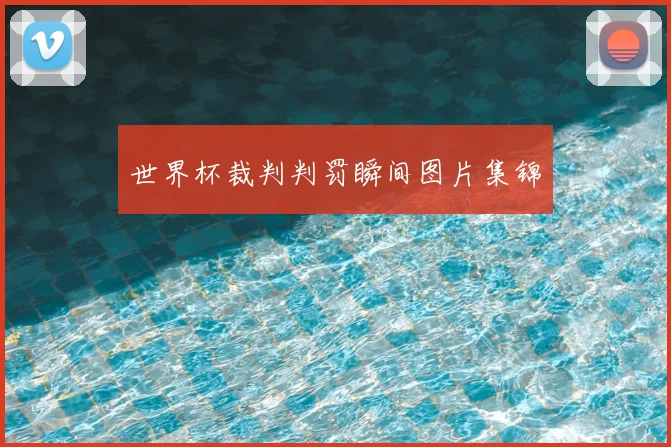 世界杯裁判判罚瞬间图片集锦