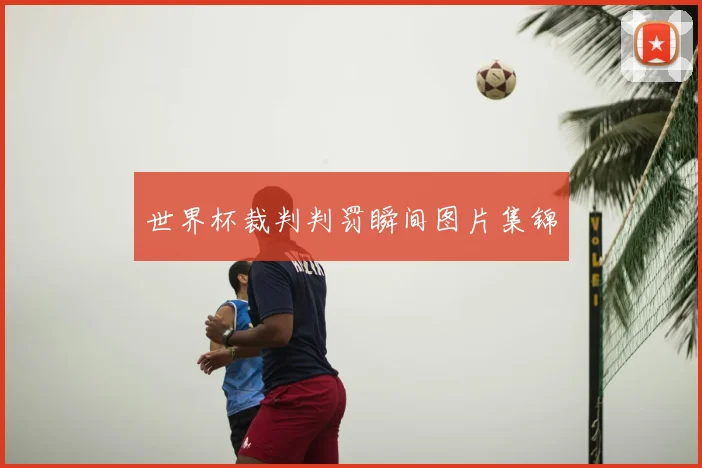 世界杯裁判判罚瞬间图片集锦